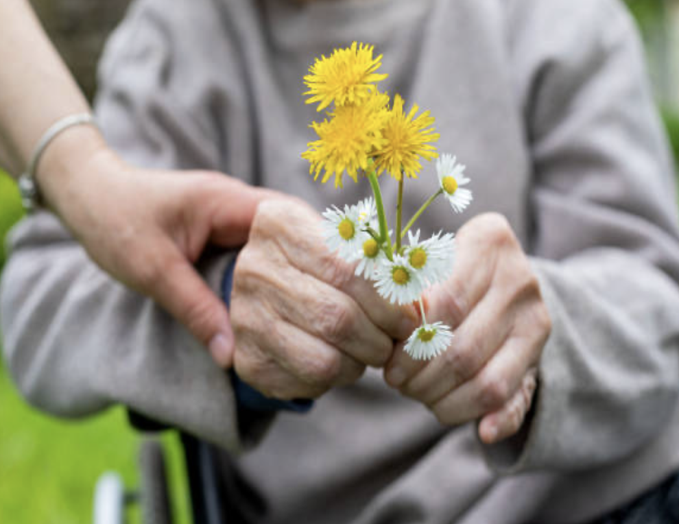 Parkinsons Disease
