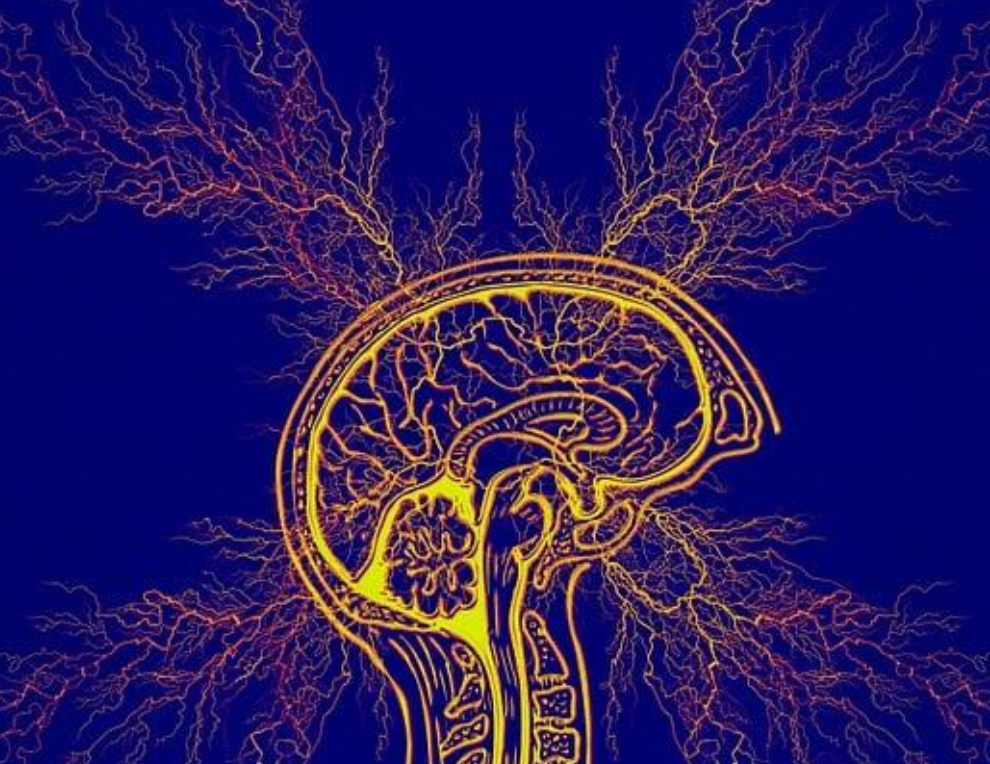 Epilepsy Management